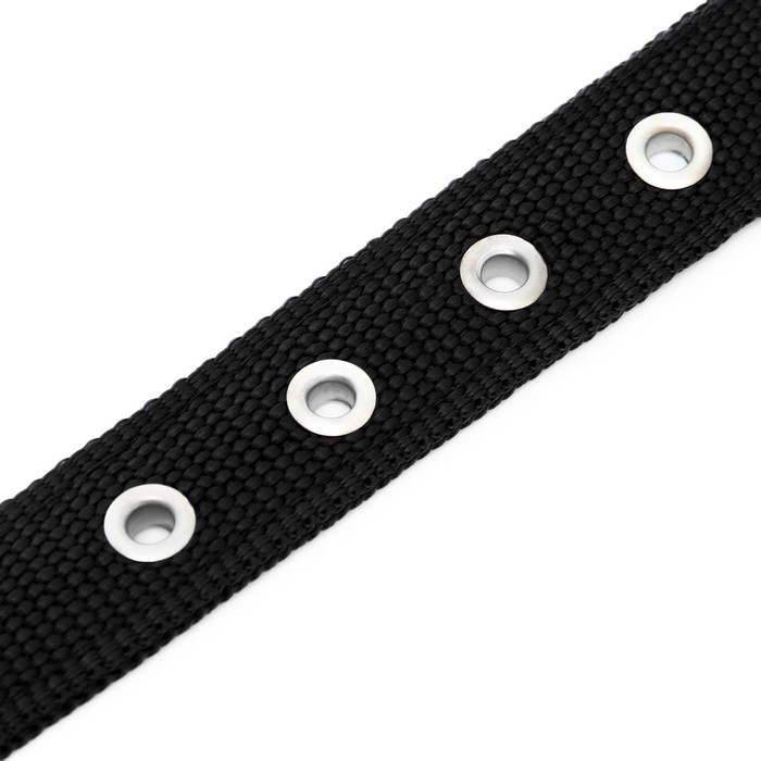 Ошейник Ошейник "Комфорт" комбинированный, 55 х 2,5 см, ОШ 40-50 см, чёрный