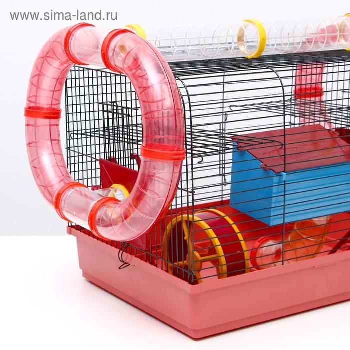 Клетка для грызунов Клетка для грызунов "Хома 4", 55 x 37 x 42 см, микс цветов