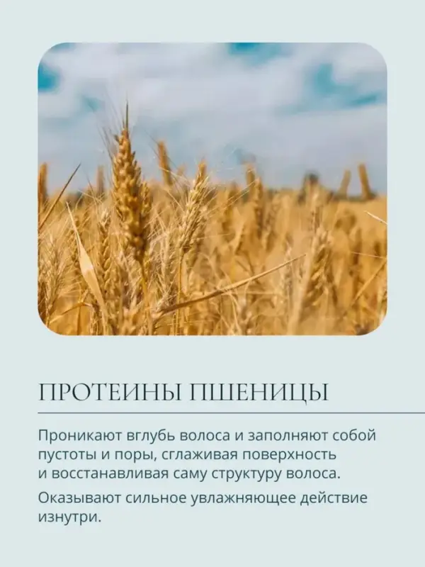 Шампунь для очищения волос малыша Baby Balance нежный, 250 мл ﻿