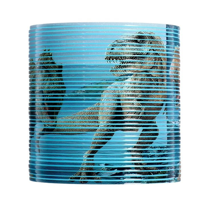 Пружинка-радуга «Динозавры», 6,2х6,2х6,2 см