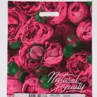 Пакет "Розовые бутоны, полиэтиленовый с вырубной ручкой, 38х45 см, 60 мкм Пакет "Розовые бутоны, полиэтиленовый с вырубной ручкой, 38х45 см, 60 мкм