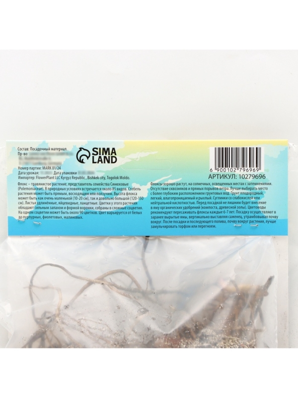 Флокс «Зенобия» корневище в пакете с торфогрунтом, р-р I, 2 шт.