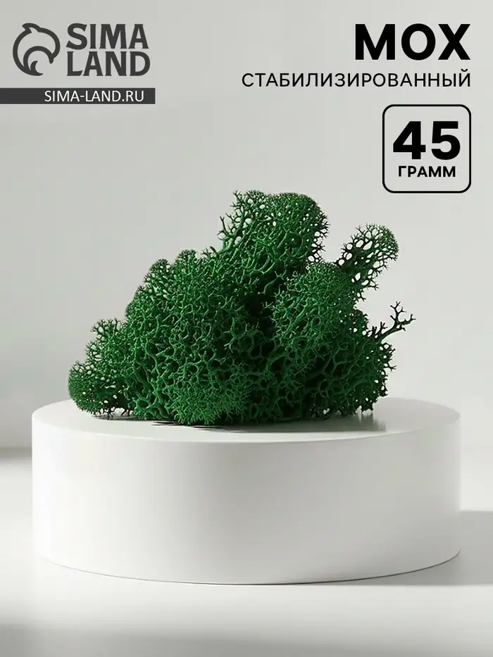 Мох стабилизированный &laquo;Ель&raquo; 45 г (&plusmn;5 г)