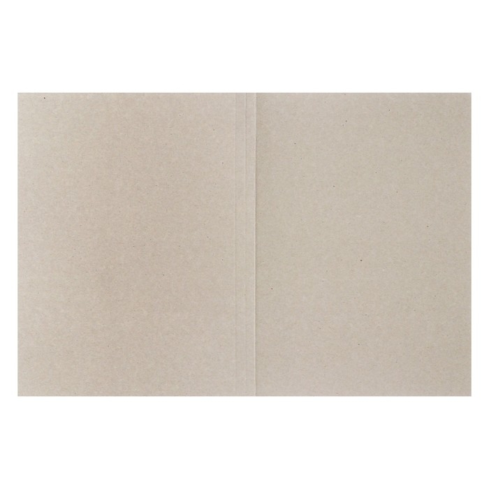 Набор папок-обложек 5 штук, Calligrata  Набор папок-обложек 5 штук, Calligrata "Дело", 380г/м2, до 200 листов, картон немелованный, белый