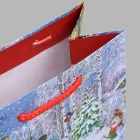 Пакет ламинированный MS 18 х 22,3 х 10 см 84