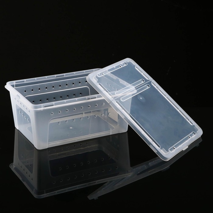 Переноска - отсадник для рептилий, 26 х 17,5 х 11,5 см Переноска - отсадник для рептилий, 26 х 17,5 х 11,5 см