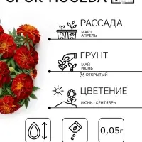 Семена цветов Бархатцы &laquo;Кармен&raquo;, 0.2 г, &laquo;Семена Алтая&raquo;