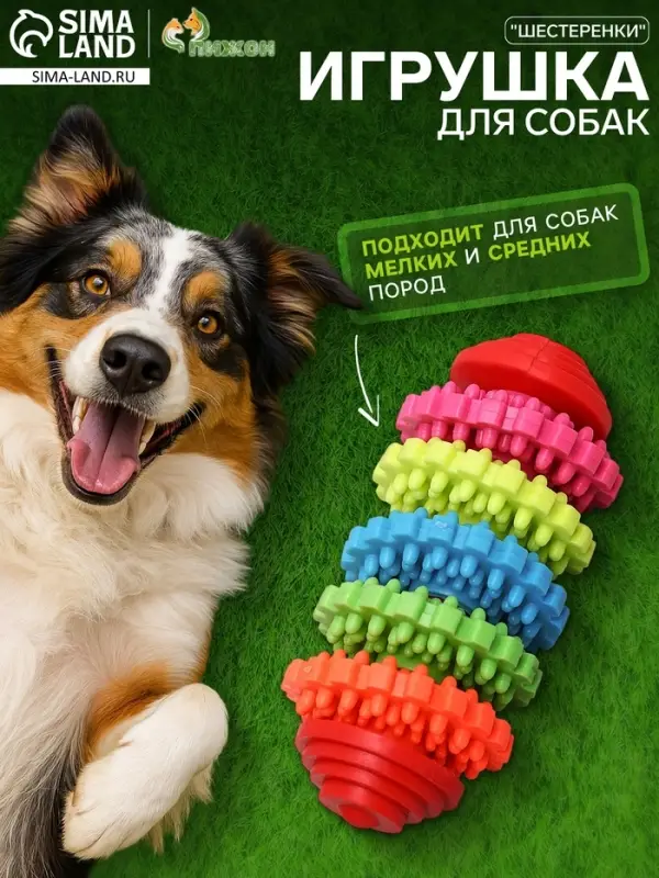 Игрушка для собак литая &laquo;Шестеренки&raquo;, 10 см, 5 вращающихся колец, TPR, МИКС