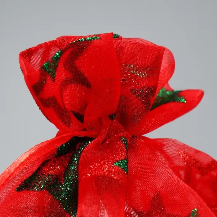 Мешочек подарочный органза «Звезда», 16 х 24 см +/- 1.5 см Мешочек подарочный органза «Звезда», 16 х 24 см +/- 1.5 см