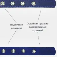Ошейник безразмерный, 40&times;2 см, с подпряжником, кожа, синий