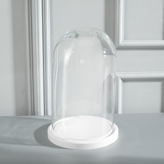 Стеклянный купол-клош на деревянной подставке Стеклянный купол-клош на деревянной подставке "Венсан - 1", 25х15 см, белый