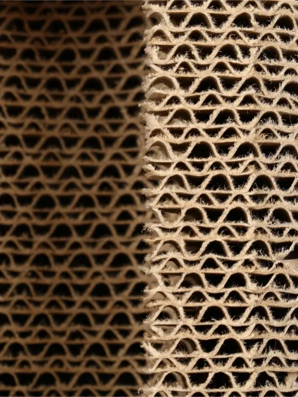 Когтеточка - игрушка &laquo;Суши&raquo;, 24.5&times;9&times;6.7 см, с кошачьей мятой, гофрокартон