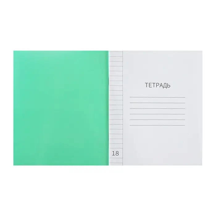 Тетрадь 18 листов в линию Calligrata "Зелёная", пластиковая обложка, с алфавитом, блок офсет