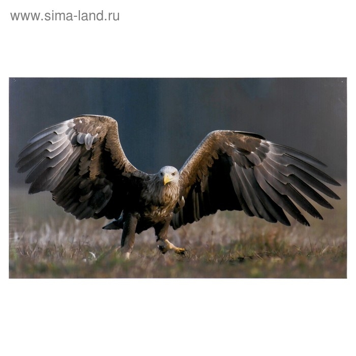 Картина-холст на подрамнике Картина-холст на подрамнике "Перед прыжком" 60х100 см