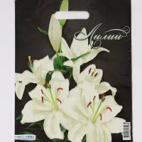 Пакет "Лилии, полиэтиленовый с вырубной ручкой 30х40 см, 60 мкм Пакет "Лилии, полиэтиленовый с вырубной ручкой 30х40 см, 60 мкм