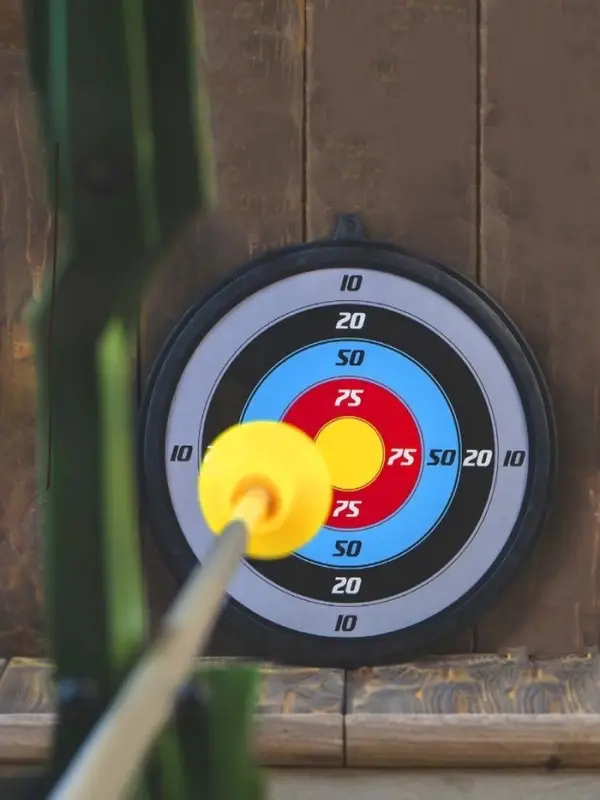 Лук &laquo;Меткий стрелок&raquo;, с мишенью и стрелами на присосках