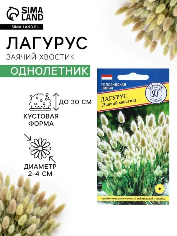 Семена цветов Лагурус &laquo;заячий хвостик&raquo;, однолетник, 10 шт.