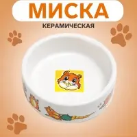 Миска для грызунов &laquo;Лакомство&raquo;, 80 мл, 8.5&times;3 см, керамика, белая