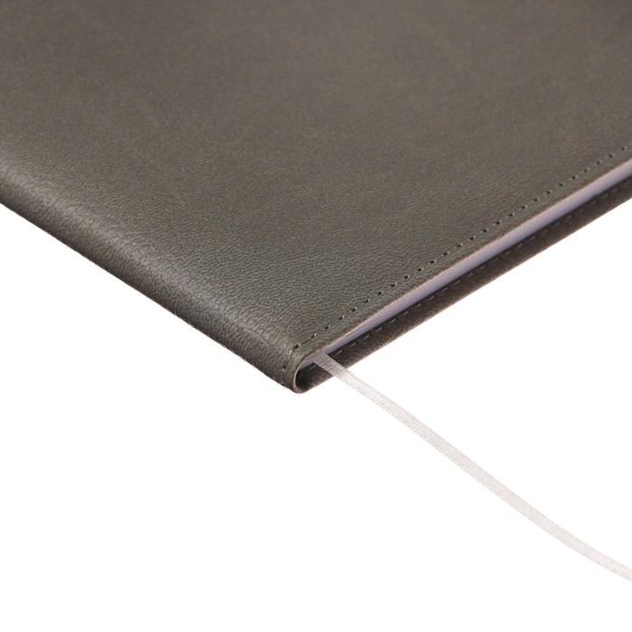 Дневник универсальный для 1-11 классов Grey, твёрдая обложка, искусственная кожа, резинка, ляссе, тонированный блок, 48 листов