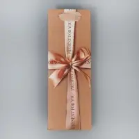 Пакет подарочный под бутылку, упаковка, «Present for you», 9 х 25 х 8.5 см