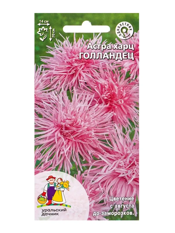 Семена Цветы Астра харц &laquo;Голландец&raquo; 0.2 г