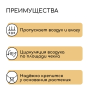 Чехол для растений, трапеция на шнурках, 100 × 80 см, спанбонд с УФ-стабилизатором, плотность 60 г/м²