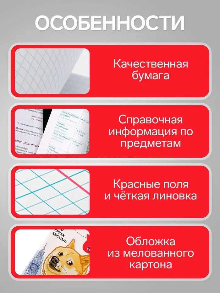 Предметная тетрадь по английскому языку Calligrata &laquo;Животные мемы&raquo;, 36 листов, в клетку, со справочным материалом, обложка из мелованной бумаги