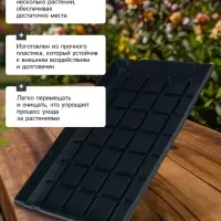 Поддон для рассады, 55&times;30&times;5.6 см, пластик, чёрный, дно МИКС, Greengo