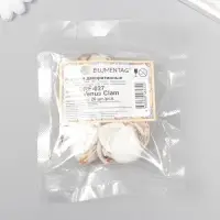Декоративные ракушки "Venus Clam" 20 шт