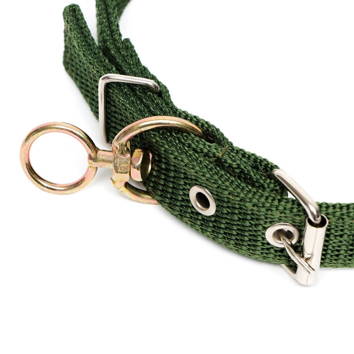Ошейник двухслойный с вертлюгом, 2,5 см, зелёный Ошейник двухслойный с вертлюгом, 2,5 см, зелёный