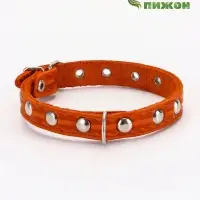 Ошейник кожаный однослойный украшенный, 1,2 см, ОШ 20-26 см микс цветов Ошейник кожаный однослойный украшенный, 1,2 см, ОШ 20-26 см микс цветов