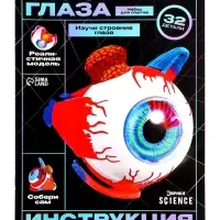 Набор для опытов &laquo;Строение глаза&raquo;, анатомическая модель