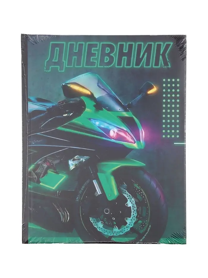 Дневник школьный для 1-4 классов, &laquo;Байк&raquo;, твёрдая обложка 7БЦ, матовая ламинация, 48 листов