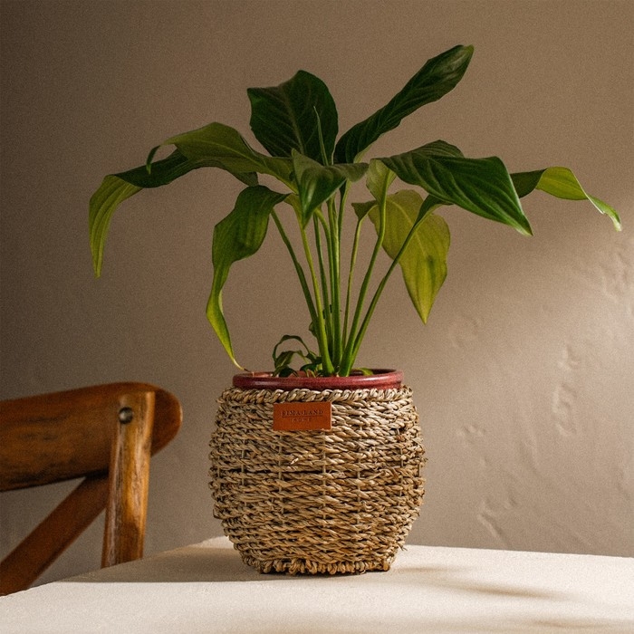 Кашпо ручного плетения из соломы Sima home, 15,5х15,5х12,5см, круглое Кашпо ручного плетения из соломы Sima home, 15,5х15,5х12,5см, круглое