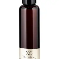 Наполнитель для ароматического диффузора ХО The Infinity, 100 мл