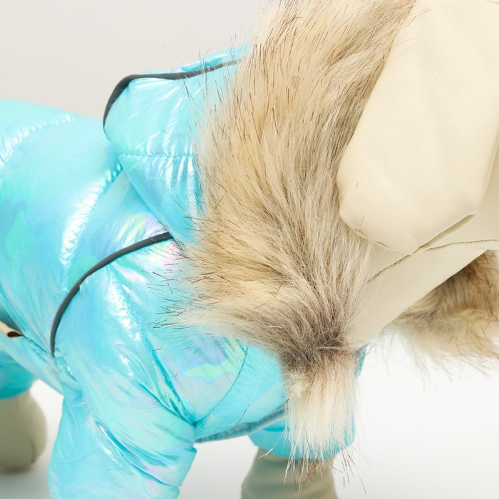 Комбинезон Комбинезон "Глянец", размер 8 (ДС 23, ОГ 30, ОГ 22), голубой