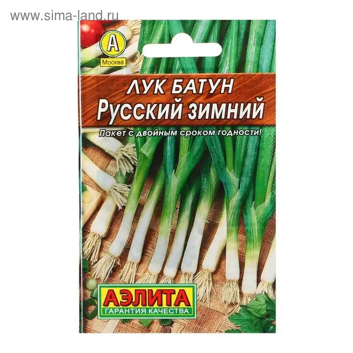 Семена Лук батун Семена Лук батун "Русский зимний" "Лидер", 1 г ,