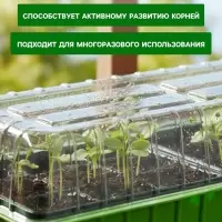 Мини - парник для рассады, 57&times;18&times;12 см, 3 вставки, 18 ячеек по 125 мл, пластик, Greengo