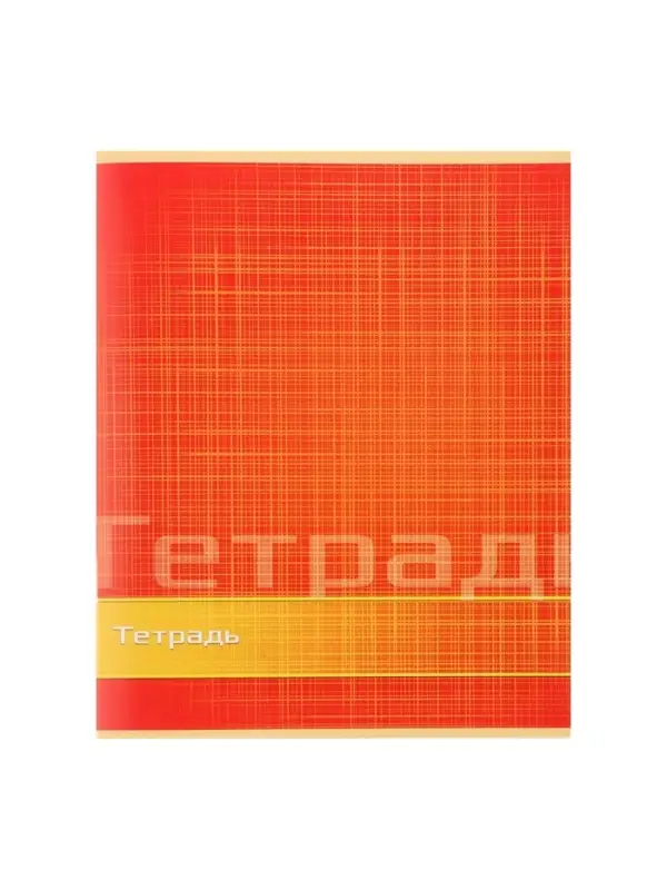 Тетрадь 48 листов в линейку Calligrata «Цвет и графика», обложка мелованная бумага, блок №2, белизна 75% (серые листы), МИКС