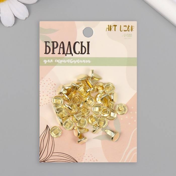 Брадсы для творчества металл  Брадсы для творчества металл "Золотые" набор 40 шт 1 см 15,5х8,8х2 см