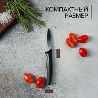 Нож для овощей Доляна «Грайм», лезвие 7,5 см, цвет чёрный