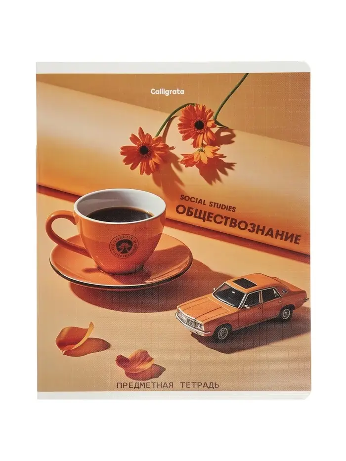 Комплект 12 предметных тетрадей 48 листов, справочная информация, 60гр, Предметы