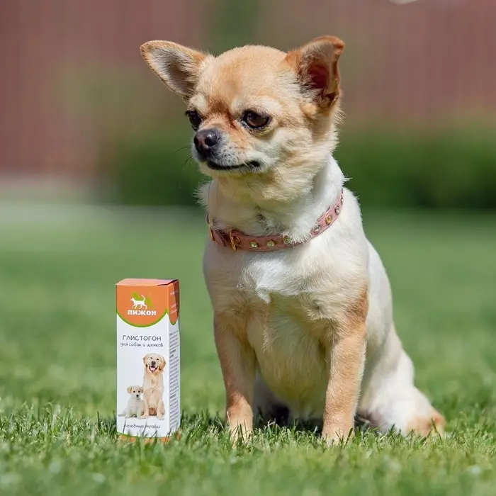 Лечебные травы &laquo;Пижон&raquo;, глистогон, для собак, 50 мл