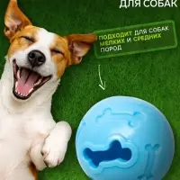 Мяч под лакомства, утолщённый TPR, 7 см, голубой