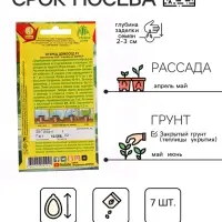 Семена огурца "Домосед", F1, 7 шт.