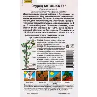 Семена огурца "Антошка", F1, 0,3 г, 10 шт.
