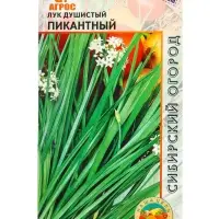 Семена Лук душистый "Пикантный" 1 г Семена Лук душистый "Пикантный" 1 г