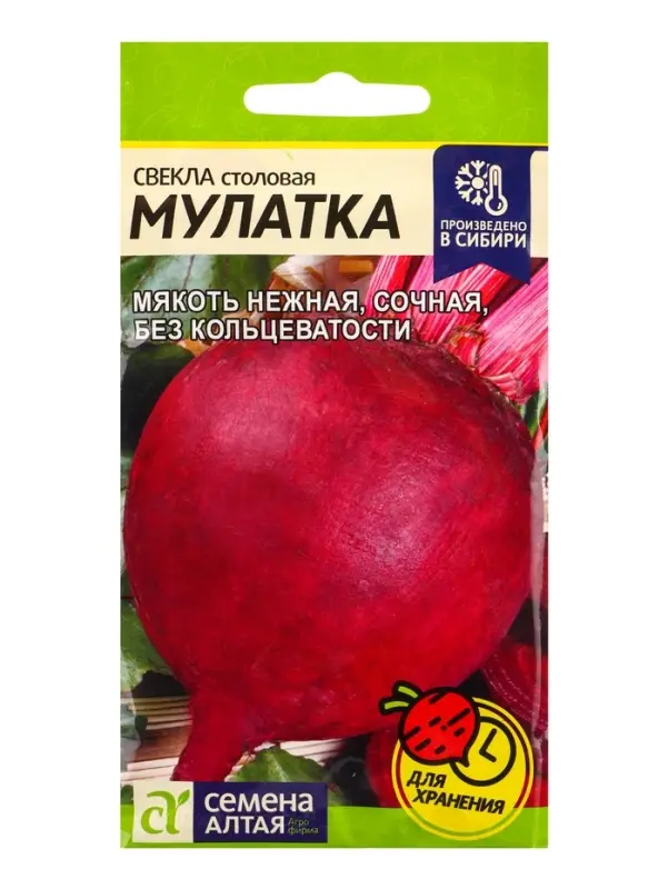Семена Свёкла &laquo;Мулатка&raquo;, 2 г, &laquo;Семена Алтая&raquo;