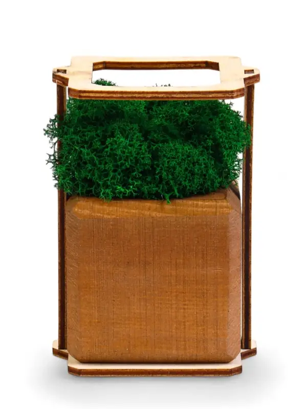Кашпо композиция со мхом Кашпо композиция со мхом "Бриовуд", мох стабилизированный: Forest green (Зелёный лес)