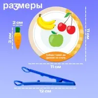 Набор для сортировки &laquo;Вкусная тарелка&raquo;, по методике Монтессори, 20 заданий, 3+